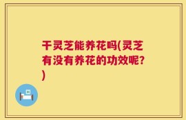 干灵芝能养花吗(灵芝有没有养花的功效呢？)
