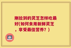 刚捡到的灵芝怎样吃最好(如何食用新鲜灵芝，享受最佳营养？)