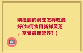 刚捡到的灵芝怎样吃最好(如何食用新鲜灵芝，享受最佳营养？)