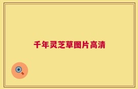 千年灵芝草图片高清