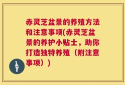 赤灵芝盆景的养殖方法和注意事项(赤灵芝盆景的养护小贴士，助你打造独特养殖（附注意事项）)