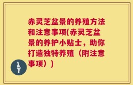 赤灵芝盆景的养殖方法和注意事项(赤灵芝盆景的养护小贴士，助你打造独特养殖（附注意事项）)