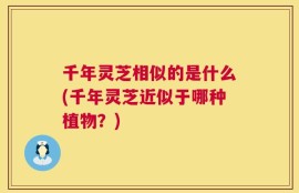 千年灵芝相似的是什么(千年灵芝近似于哪种植物？)