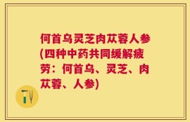 何首乌灵芝肉苁蓉人参(四种中药共同缓解疲劳：何首乌、灵芝、肉苁蓉、人参)