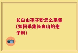 长白山孢子粉怎么采集(如何采集长白山的孢子粉)
