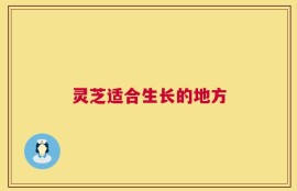 灵芝适合生长的地方