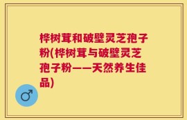 桦树茸和破壁灵芝孢子粉(桦树茸与破壁灵芝孢子粉——天然养生佳品)