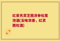 红景天灵芝西洋参松茸泡酒(五味浓香，红灵西松酒)