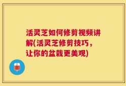 活灵芝如何修剪视频讲解(活灵芝修剪技巧，让你的盆栽更美观)