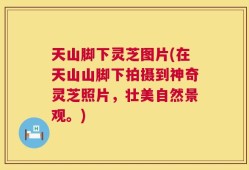天山脚下灵芝图片(在天山山脚下拍摄到神奇灵芝照片，壮美自然景观。)