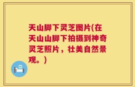 天山脚下灵芝图片(在天山山脚下拍摄到神奇灵芝照片，壮美自然景观。)