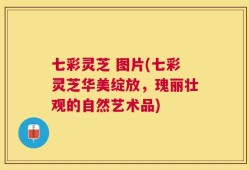七彩灵芝 图片(七彩灵芝华美绽放，瑰丽壮观的自然艺术品)