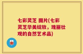 七彩灵芝 图片(七彩灵芝华美绽放，瑰丽壮观的自然艺术品)