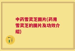中药雪灵芝图片(药用雪灵芝的图片及功效介绍)