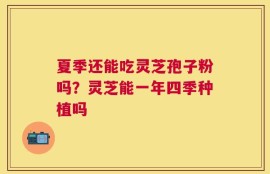 夏季还能吃灵芝孢子粉吗？灵芝能一年四季种植吗