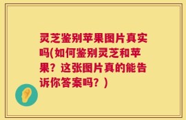 灵芝鉴别苹果图片真实吗(如何鉴别灵芝和苹果？这张图片真的能告诉你答案吗？)