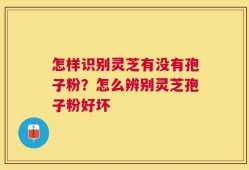 怎样识别灵芝有没有孢子粉？怎么辨别灵芝孢子粉好坏