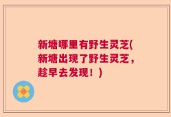 新塘哪里有野生灵芝(新塘出现了野生灵芝，趁早去发现！)