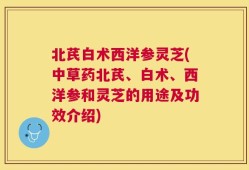 北芪白术西洋参灵芝(中草药北芪、白术、西洋参和灵芝的用途及功效介绍)