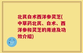 北芪白术西洋参灵芝(中草药北芪、白术、西洋参和灵芝的用途及功效介绍)