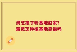 灵芝孢子粉基地赵家？藏灵芝种植基地靠谱吗