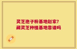 灵芝孢子粉基地赵家？藏灵芝种植基地靠谱吗