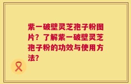紫一破壁灵芝孢子粉图片？了解紫一破壁灵芝孢子粉的功效与使用方法？