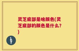 灵芝底部是啥颜色(灵芝底部的颜色是什么？)