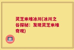 灵芝米堆冰川(冰川之谷探秘：发现灵芝米堆奇观)
