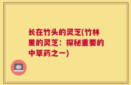长在竹头的灵芝(竹林里的灵芝：探秘重要的中草药之一)