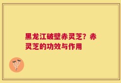 黑龙江破壁赤灵芝？赤灵芝的功效与作用
