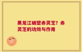 黑龙江破壁赤灵芝？赤灵芝的功效与作用