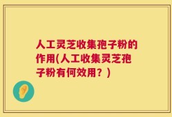 人工灵芝收集孢子粉的作用(人工收集灵芝孢子粉有何效用？)