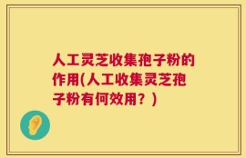 人工灵芝收集孢子粉的作用(人工收集灵芝孢子粉有何效用？)