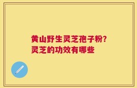 黄山野生灵芝孢子粉？灵芝的功效有哪些