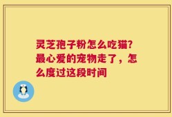 灵芝孢子粉怎么吃猫？最心爱的宠物走了，怎么度过这段时间