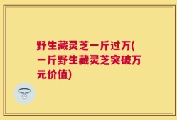 野生藏灵芝一斤过万(一斤野生藏灵芝突破万元价值)