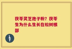 茯苓灵芝孢子粉？茯苓生为什么生长在松树根部