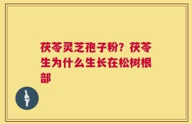 茯苓灵芝孢子粉？茯苓生为什么生长在松树根部