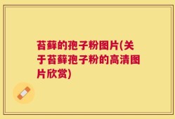苔藓的孢子粉图片(关于苔藓孢子粉的高清图片欣赏)