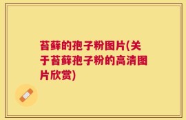 苔藓的孢子粉图片(关于苔藓孢子粉的高清图片欣赏)