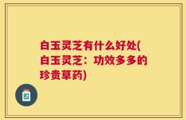 白玉灵芝有什么好处(白玉灵芝：功效多多的珍贵草药)