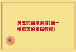 灵芝的画法素描(画一幅灵芝的素描教程)