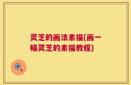 灵芝的画法素描(画一幅灵芝的素描教程)