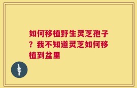 如何移植野生灵芝孢子？我不知道灵芝如何移植到盆里