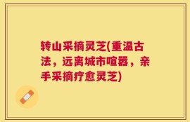 转山采摘灵芝(重温古法，远离城市喧嚣，亲手采摘疗愈灵芝)