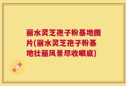 丽水灵芝孢子粉基地图片(丽水灵芝孢子粉基地壮丽风景尽收眼底)
