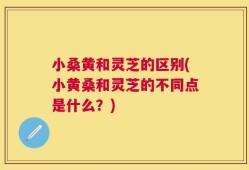 小桑黄和灵芝的区别(小黄桑和灵芝的不同点是什么？)
