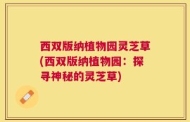 西双版纳植物园灵芝草(西双版纳植物园：探寻神秘的灵芝草)