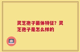 灵芝孢子菌体特征？灵芝孢子是怎么样的